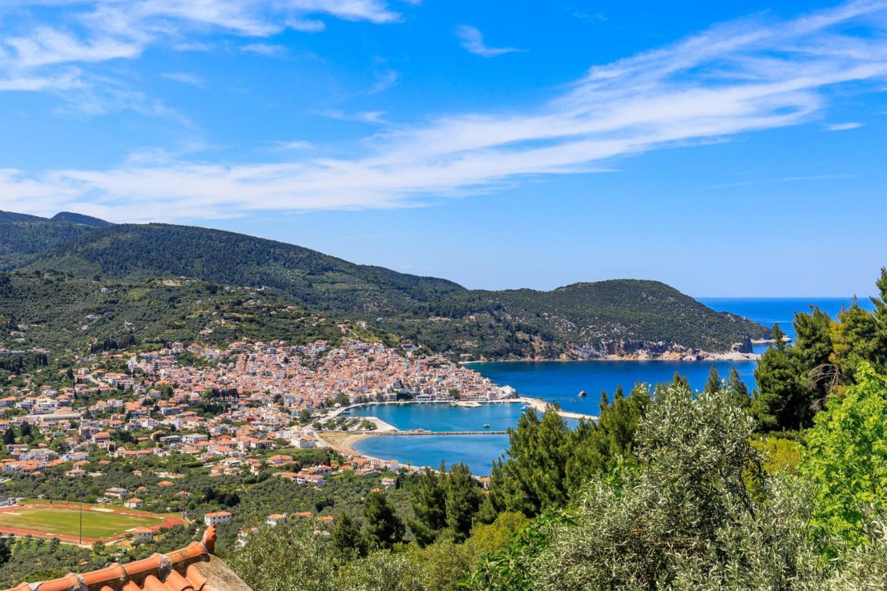 Villa Agia Marina Σκόπελος Εξωτερικό φωτογραφία