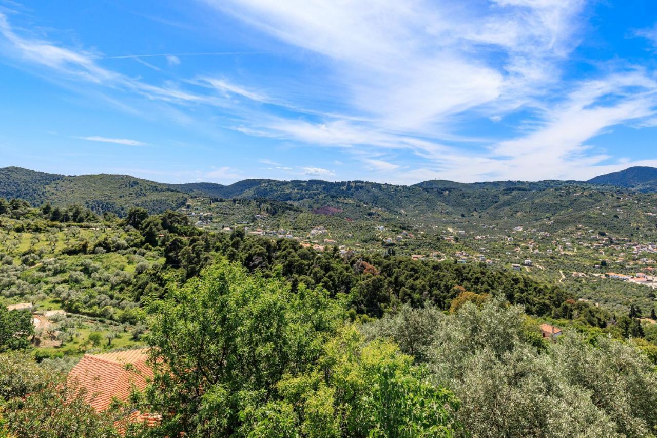 Villa Agia Marina Σκόπελος Εξωτερικό φωτογραφία